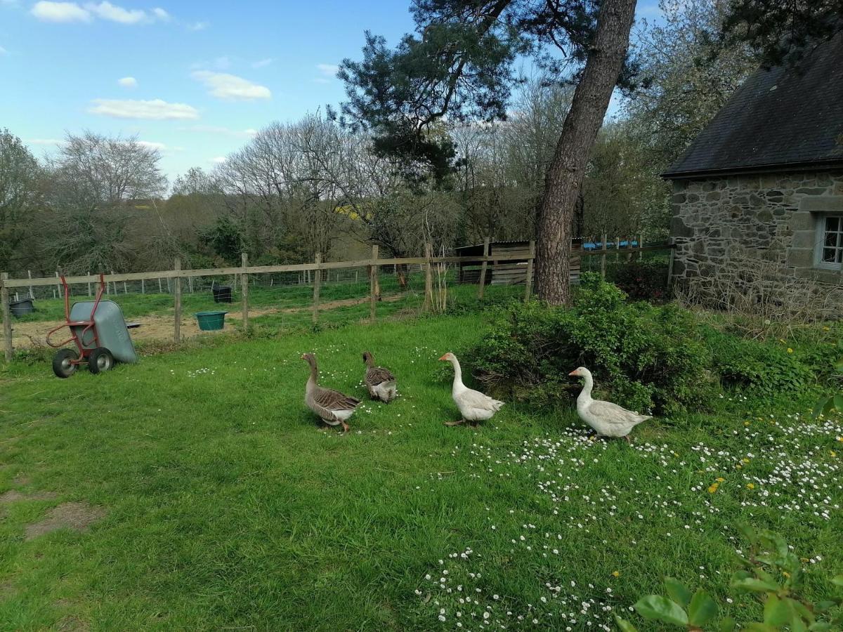 Frairie Du Divit Bed & Breakfast Pontivy Exterior foto